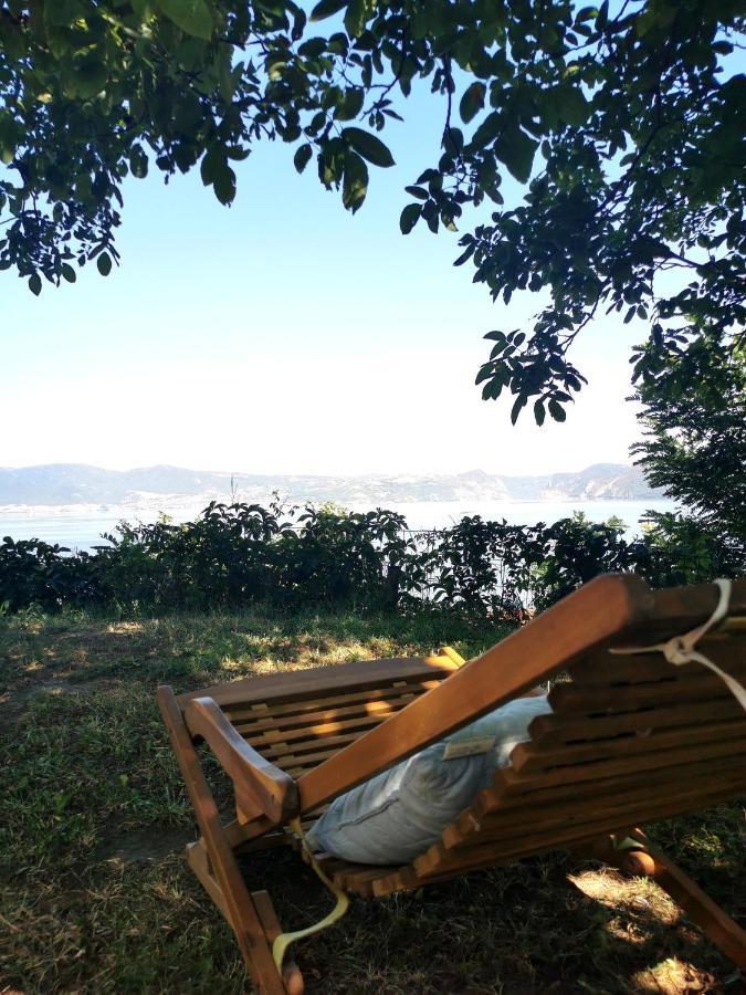 Kuca Za Odmor-Zelena Oaza Ξενοδοχείο Golubac Εξωτερικό φωτογραφία